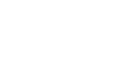 polis-3